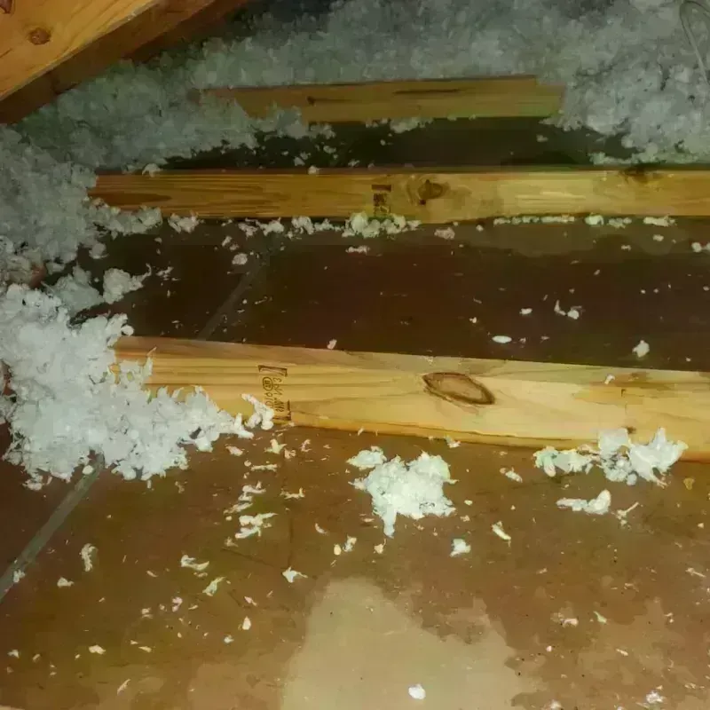 Attic Water Damage in Lisbon, IA