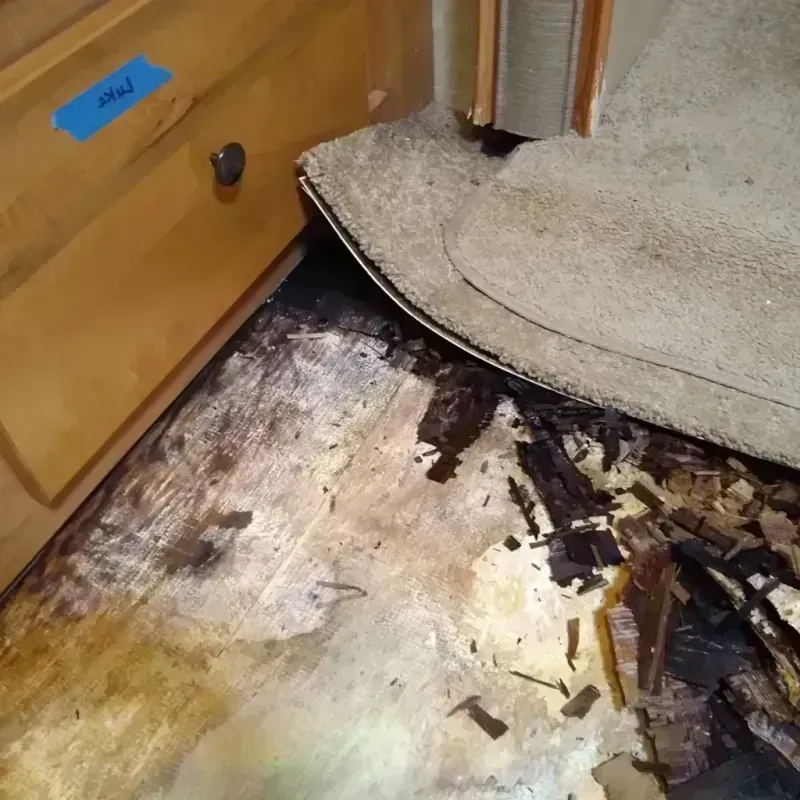 Wood Floor Water Damage in Lisbon, IA